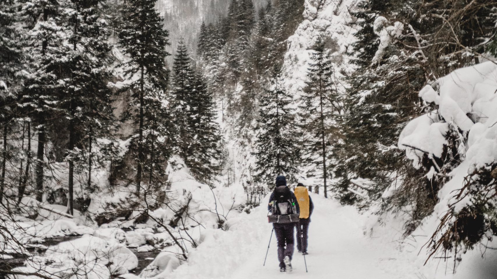 Bieszczady zimą spacer w Tatrach zimą